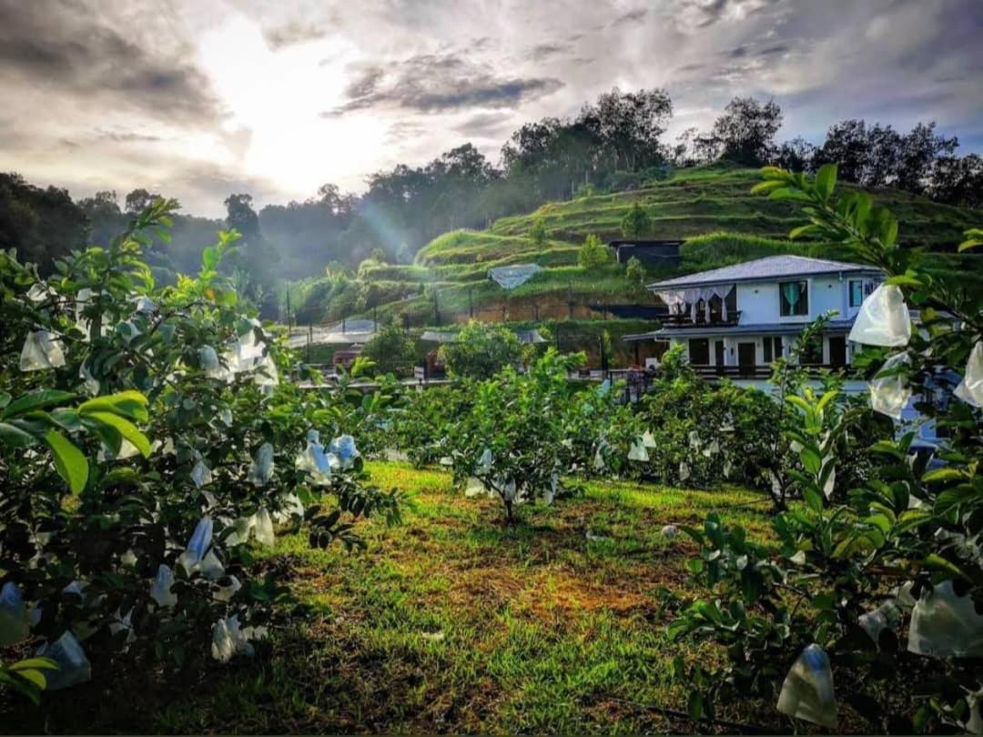 I Do Farmstay Bukit Mertajam Exteriér fotografie