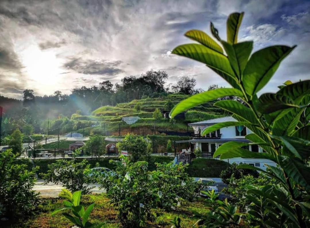 I Do Farmstay Bukit Mertajam Exteriér fotografie